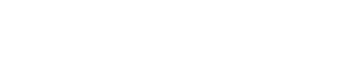 Fudoh: The New Generation logo
