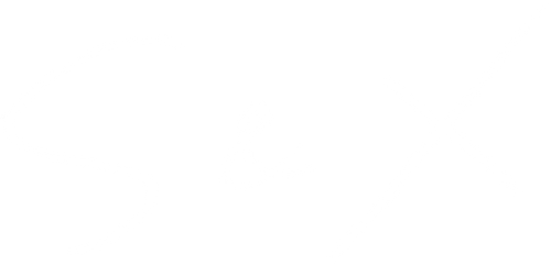 S&X logo