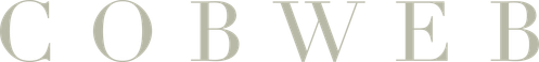 Cobweb logo