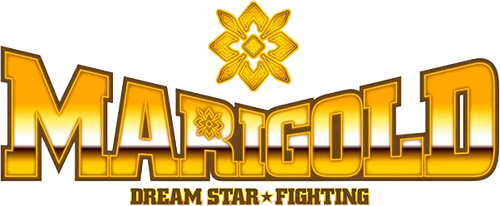 Dream Star★Fighting Marigold logo