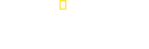 Saving Venice logo