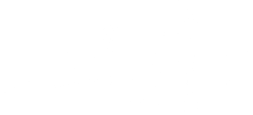 Shampoo logo