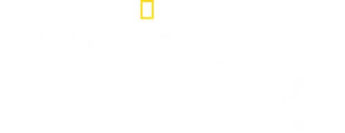 Witness to Disaster logo
