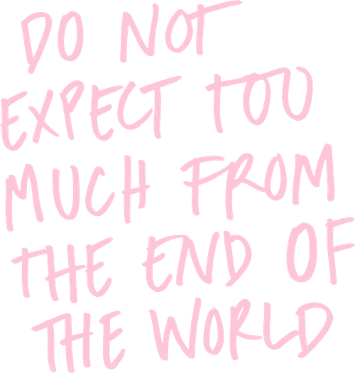 Do Not Expect Too Much from the End of the World logo