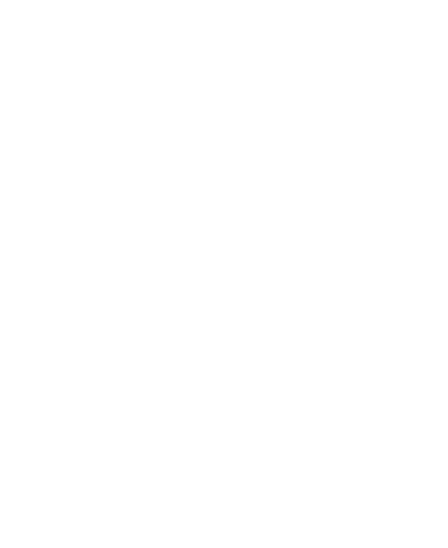 Moon, 66 Questions logo