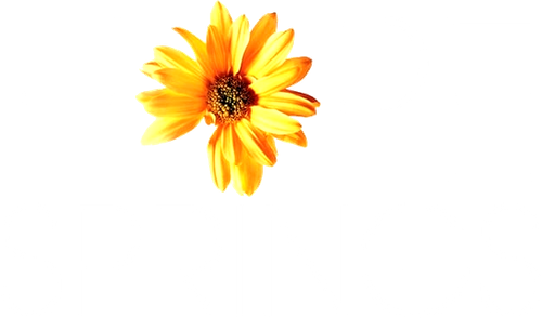 Hope Springs logo