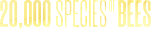 20,000 Species of Bees logo