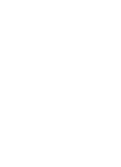 Vougas of the Ria de Aveiro logo