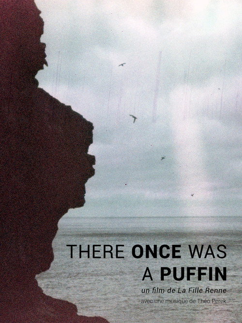 There Once was A Puffin