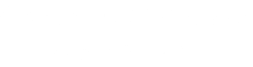 Connecting to You logo