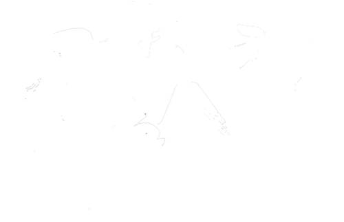 Star of Ocean logo