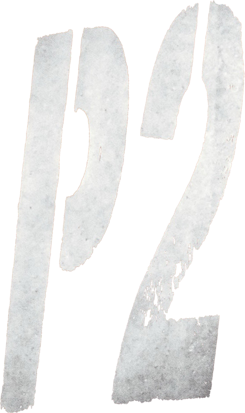 P2 logo