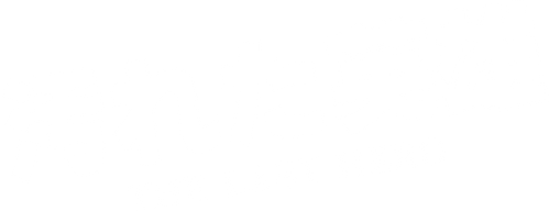 The Last Hero logo