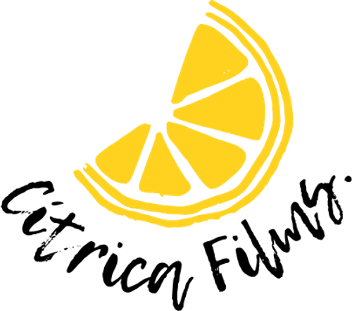The Felix Show logo