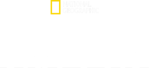 Expedition Amelia logo