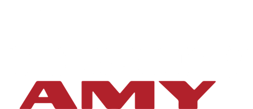 Chasing Amy logo