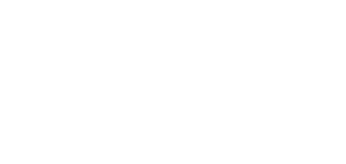 The Cleaning Lady logo