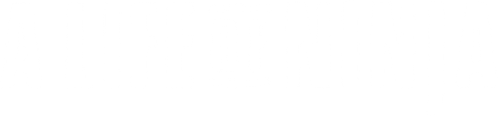 Deadly Life of a Ninja logo