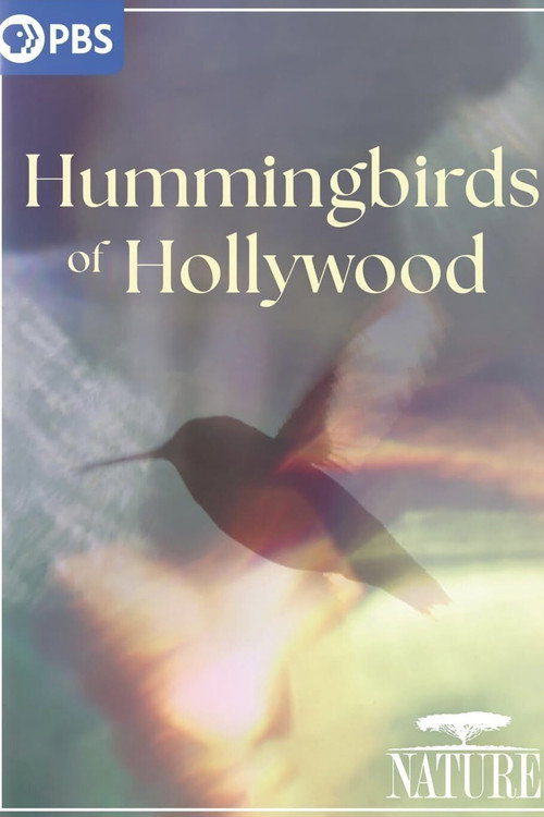 Hummingbirds of Hollywood