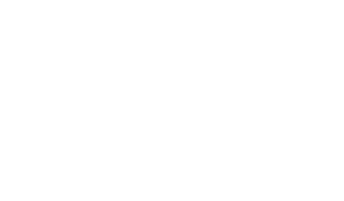 Lady Vengeance logo
