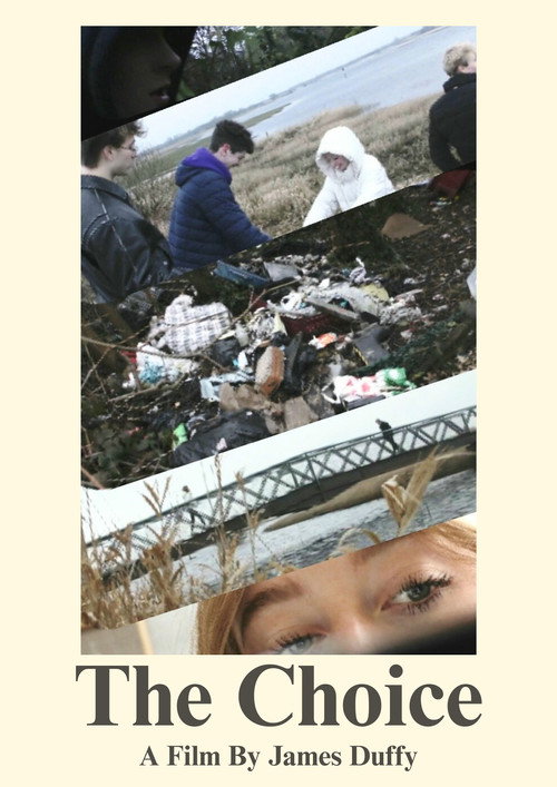 The Choice: Illegal Dumping