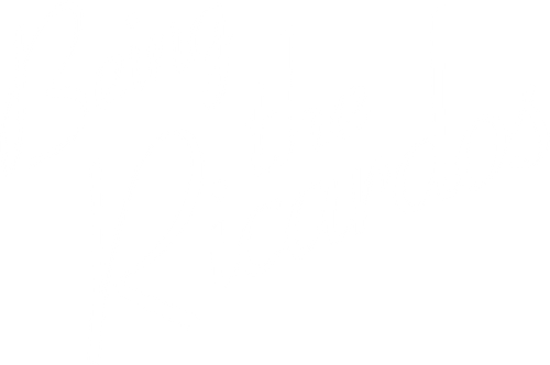 Being the Ricardos logo