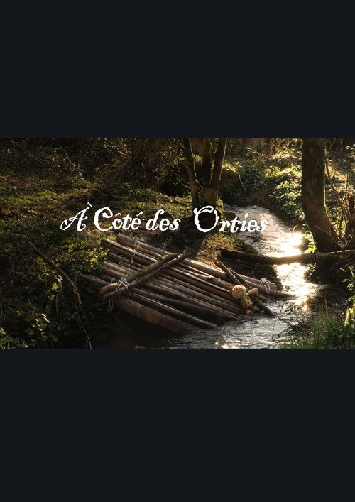 A côté des orties