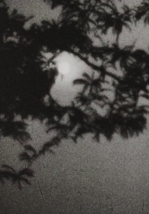 Moonplay