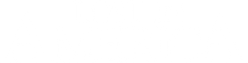 Lost in America logo