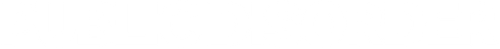 Public Disorder logo