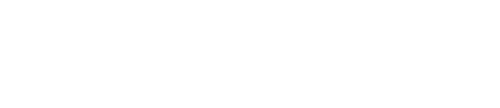 Snow Day logo