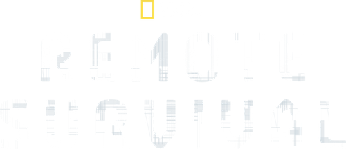 Remote Survival logo