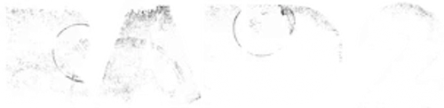 Raid 2 logo