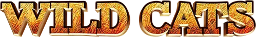 Wild Cats 3D logo