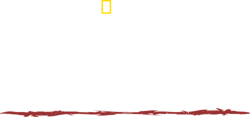 Primal Survivor logo
