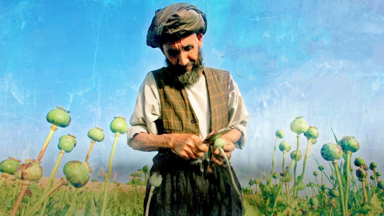 Afghanistan's Opium Trail