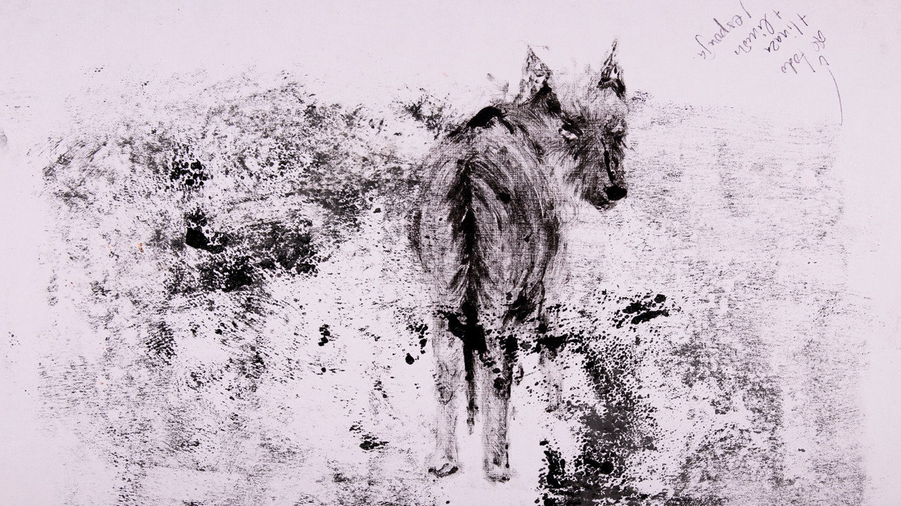 decay