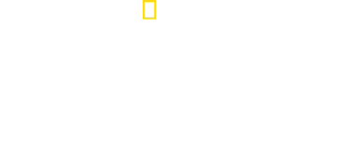 Secrets of the Bees logo