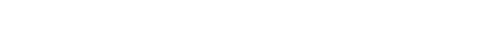 Flight logo