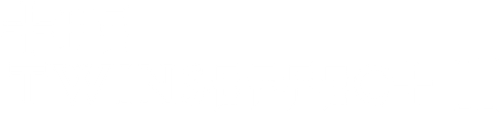 The Twins Effect II logo