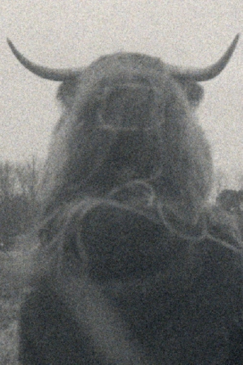 Gombaut