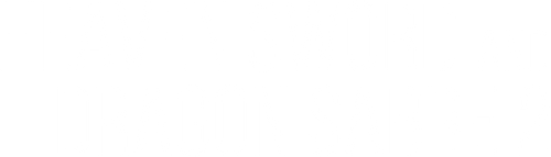 Heaven Sword and Dragon Sabre II logo
