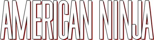 American Ninja logo