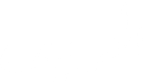 The Street Player logo
